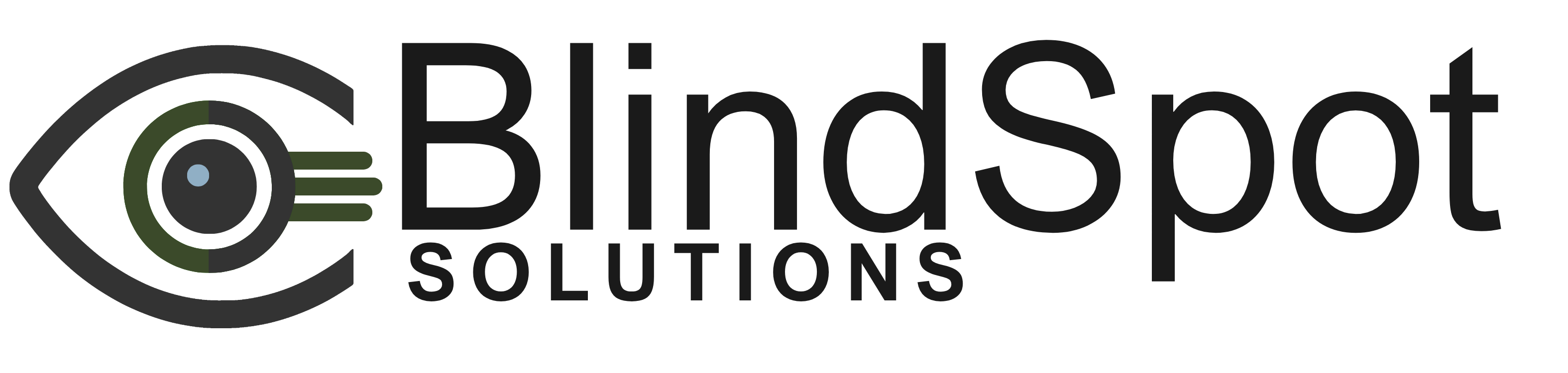 BlindSpot Solutions
